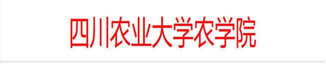 开云足球